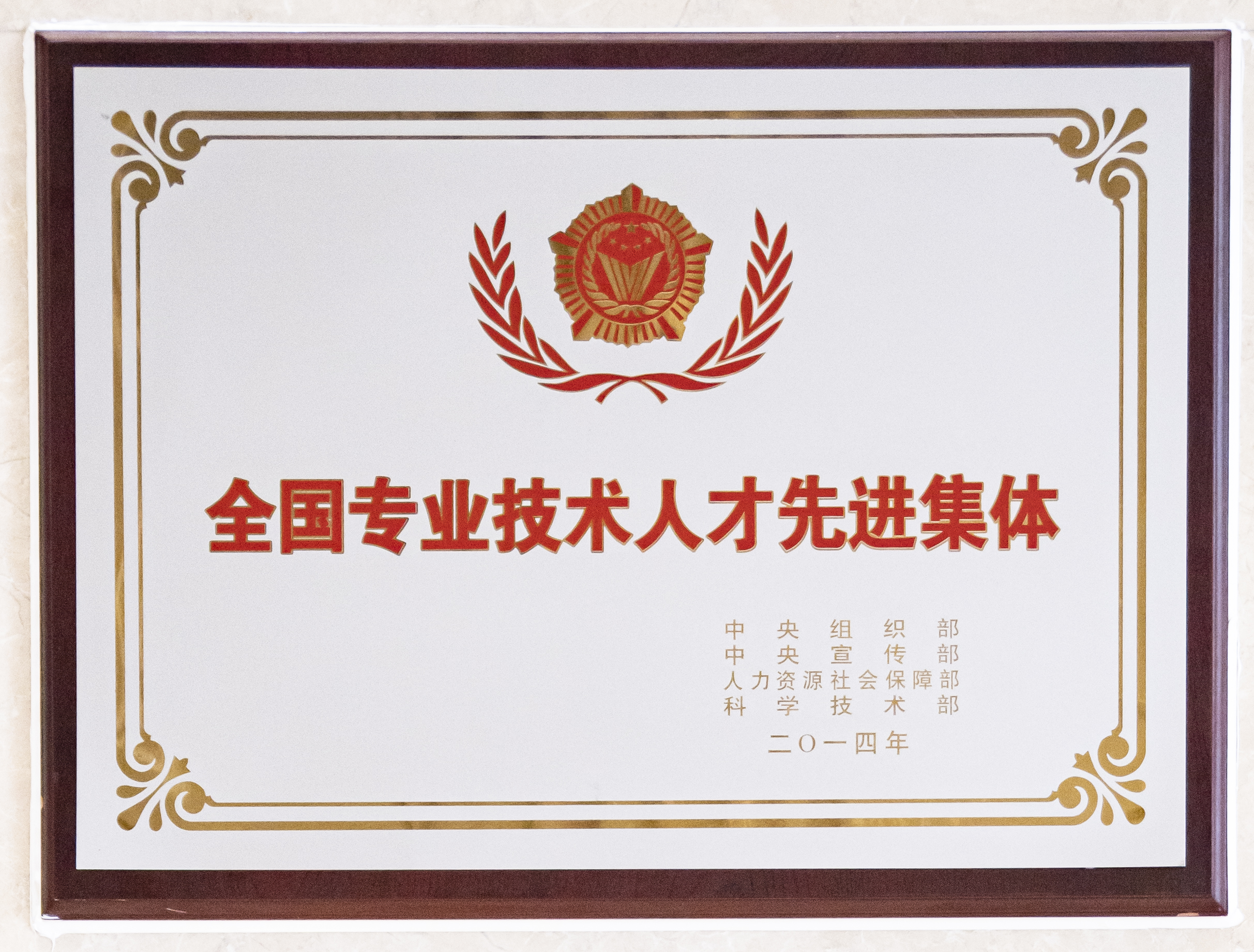 全国专业技术人才先进集体