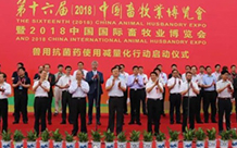 image/PicList001216-img2.jpg?UGljTGlzdDAwMTIxNi1pbWcyLmpwZw==