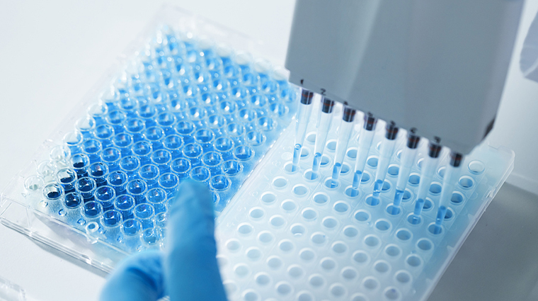 image/video_pic.jpg?dmlkZW9fcGljLmpwZw==